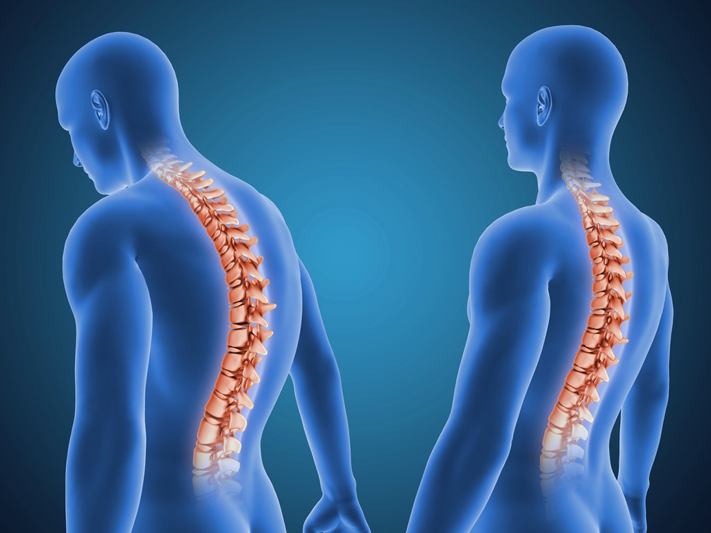 Osteopatia e Postura: un Approccio Scientifico Integrato